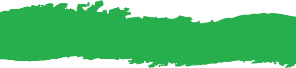 14021-frame-2147224019-17793514655465.png